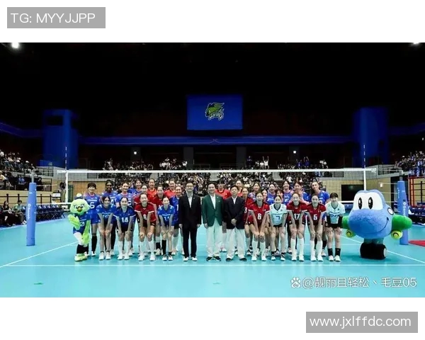 上海排球队的拼搏之路与挑战赛背后的奋斗故事